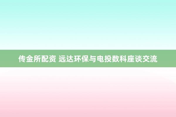 传金所配资 远达环保与电投数科座谈交流