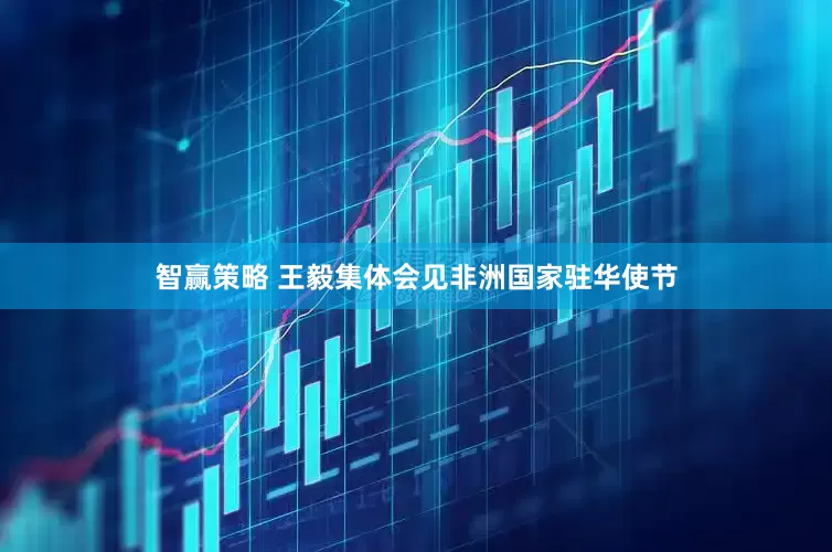 智赢策略 王毅集体会见非洲国家驻华使节