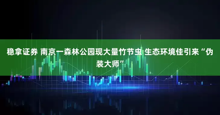 稳拿证券 南京一森林公园现大量竹节虫 生态环境佳引来“伪装大师”
