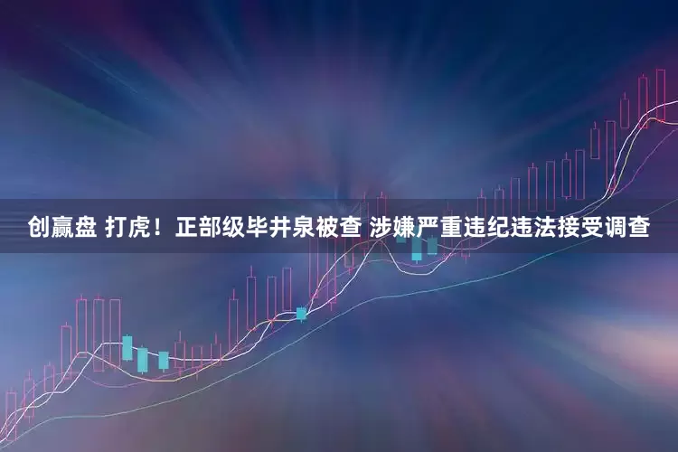 创赢盘 打虎！正部级毕井泉被查 涉嫌严重违纪违法接受调查
