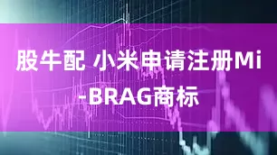 股牛配 小米申请注册Mi-BRAG商标