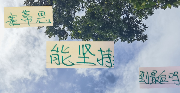 信通配资 北京国安两场比赛丢了8个球 塞蒂恩剧情跟去年的苏亚雷斯很像