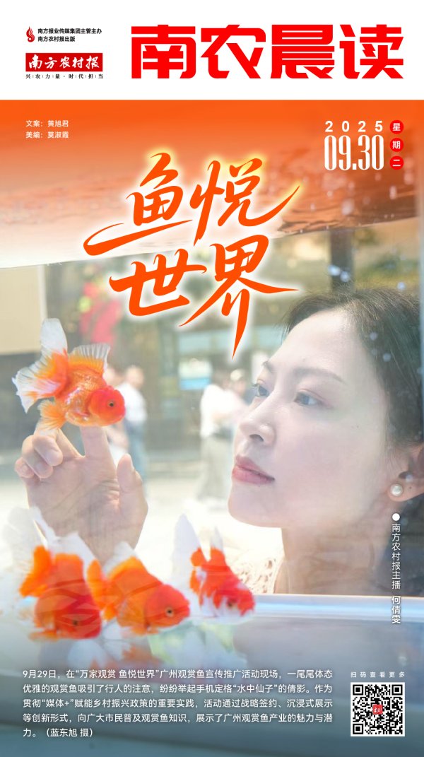 盛鹏配资 南农晨读 | 鱼悦世界