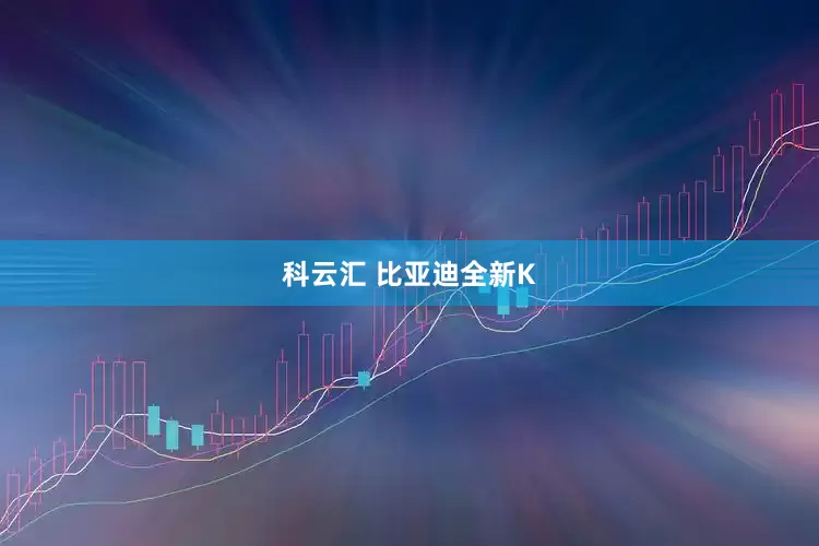 科云汇 比亚迪全新K