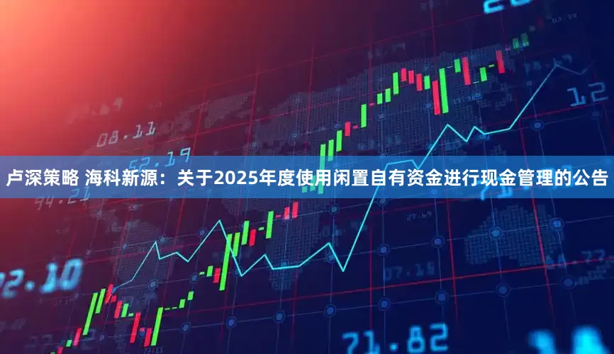 卢深策略 海科新源：关于2025年度使用闲置自有资金进行现金管理的公告