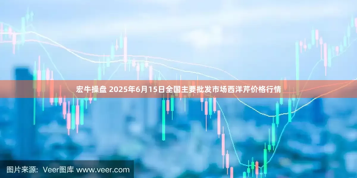 宏牛操盘 2025年6月15日全国主要批发市场西洋芹价格行情